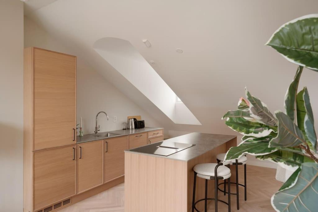 Dinbnb Gruenerlokka I Penthouse With Private Rooftop I 2 Bedrooms & 1 Bathroom Lägenhet Oslo
